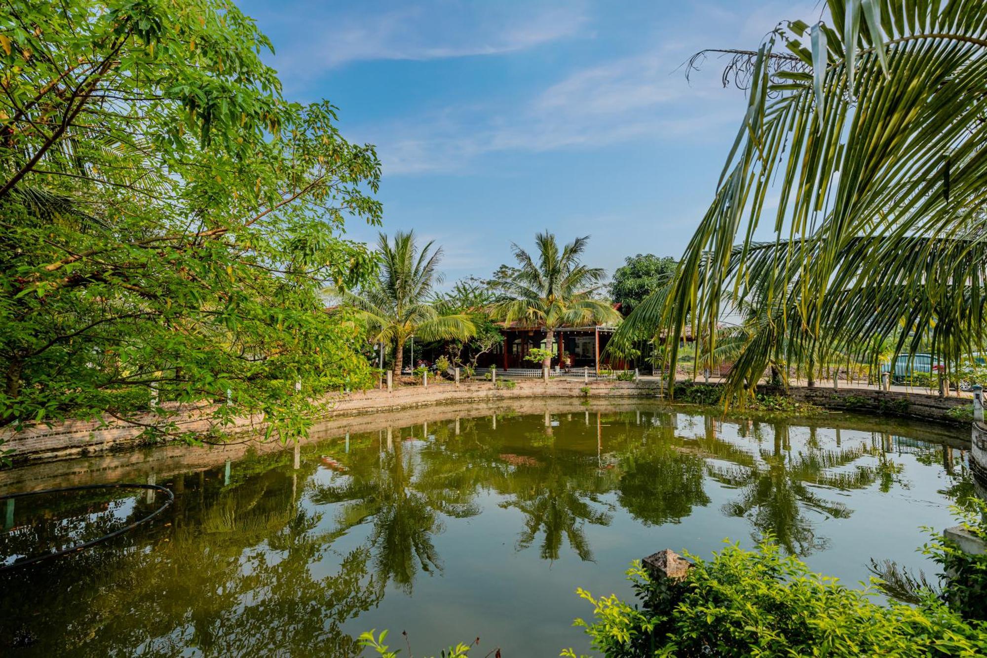 Tam Coc Green Garden Bungalow Ninh Bình Ngoại thất bức ảnh