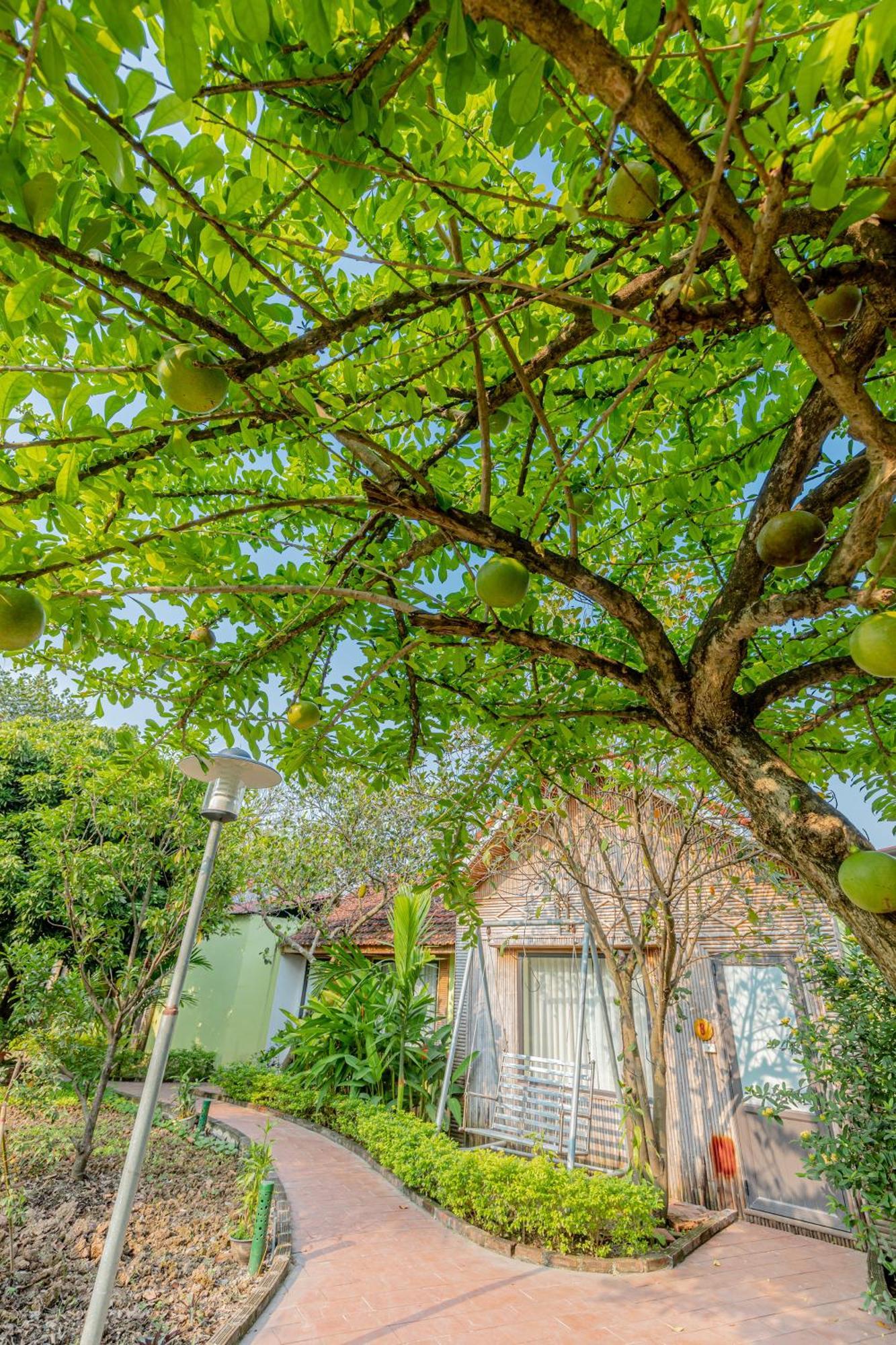 Tam Coc Green Garden Bungalow Ninh Bình Ngoại thất bức ảnh